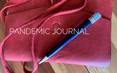 Journal of One Day: Safer at Home