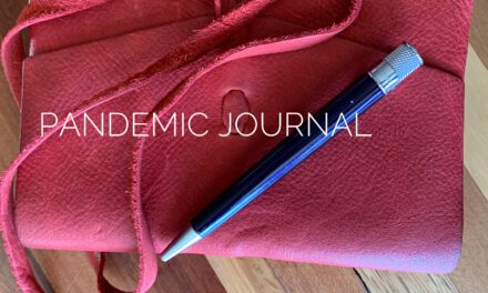 Journal of One Day: Safer at Home